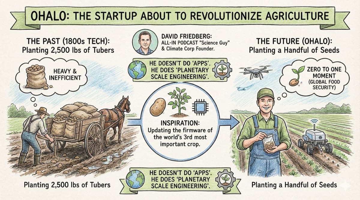Ohalo: The Startup About to Revolutionize Agriculture